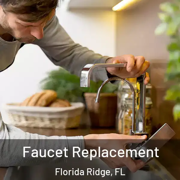  Faucet Replacement Florida Ridge, FL