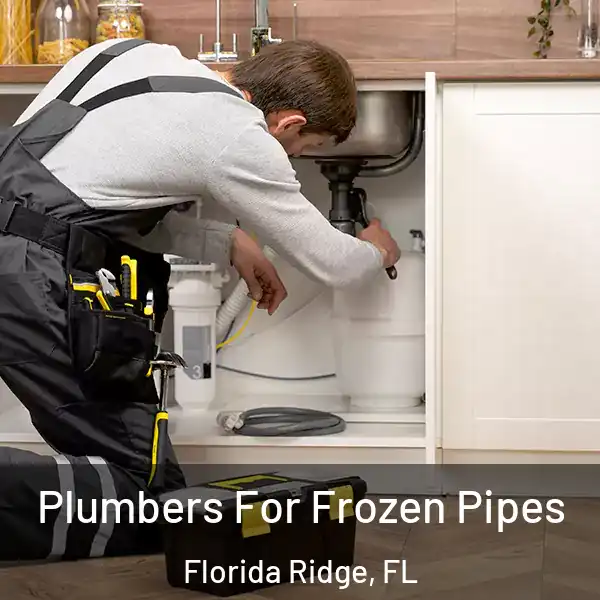 Plumbers For Frozen Pipes Florida Ridge, FL