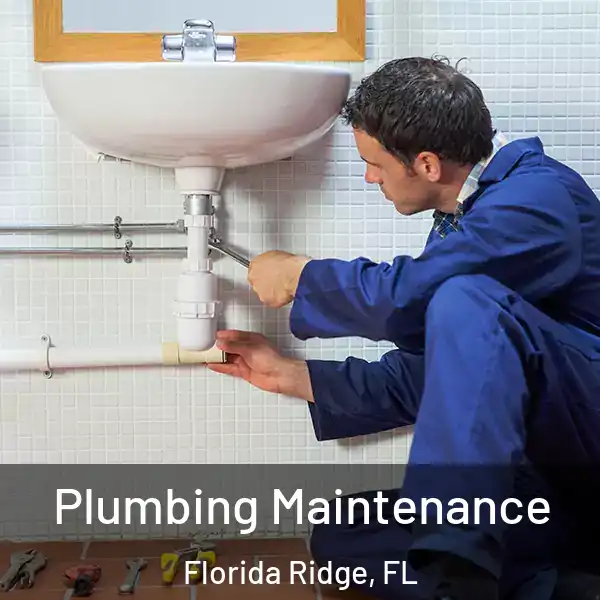  Plumbing Maintenance Florida Ridge, FL