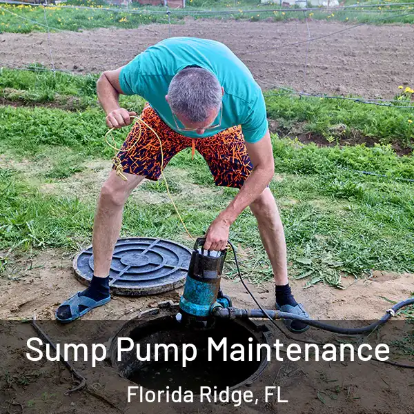  Sump Pump Maintenance Florida Ridge, FL