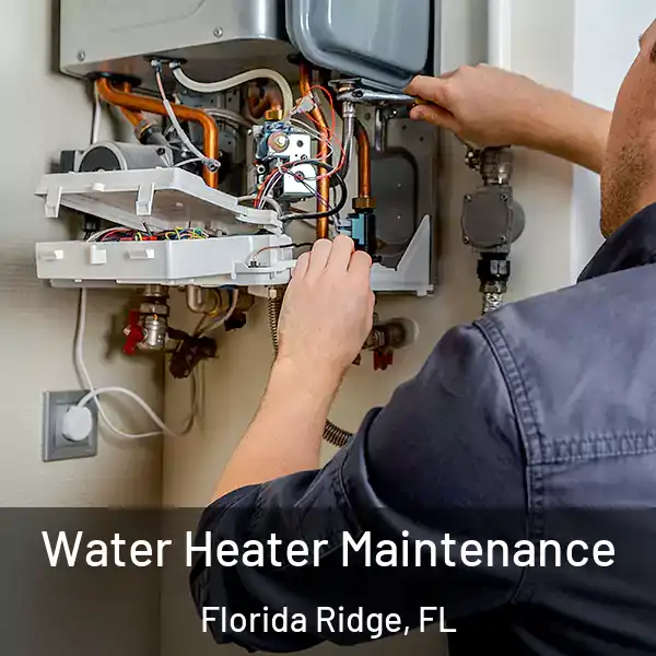  Water Heater Maintenance Florida Ridge, FL